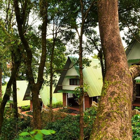 Misty Woods Resort Kakkabe Exterior photo